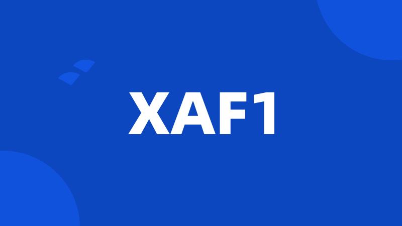 XAF1