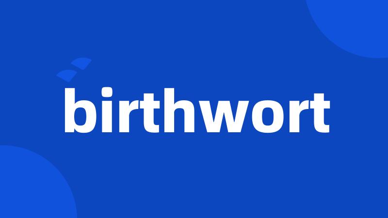 birthwort