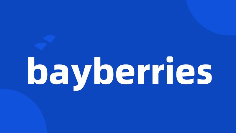 bayberries