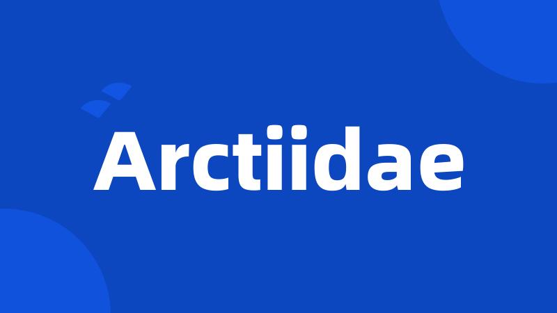 Arctiidae