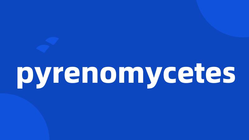 pyrenomycetes