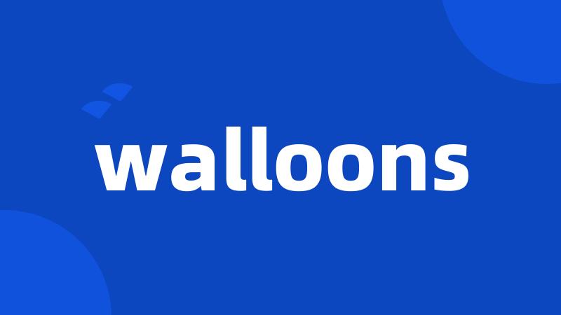 walloons