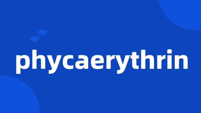 phycaerythrin