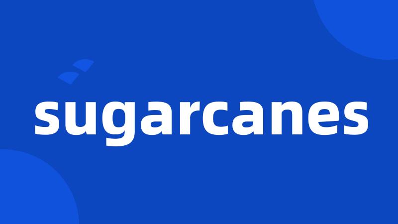 sugarcanes