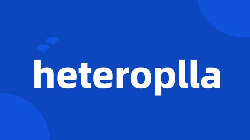 heteroplla