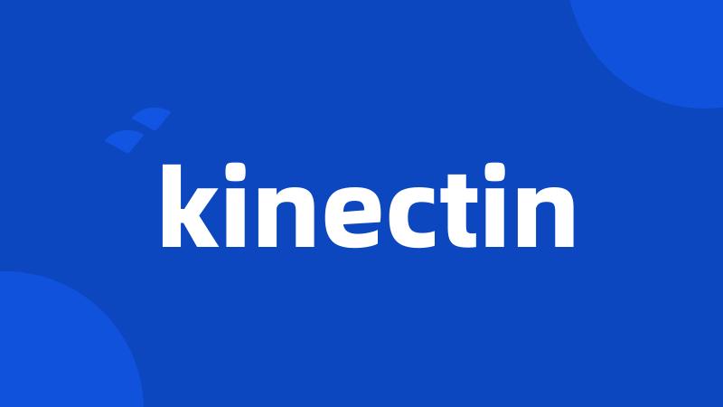 kinectin