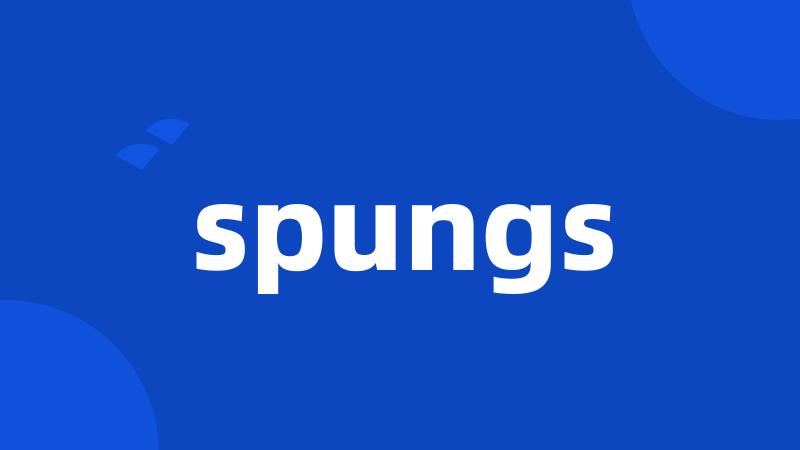 spungs