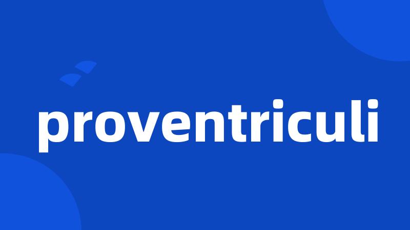 proventriculi