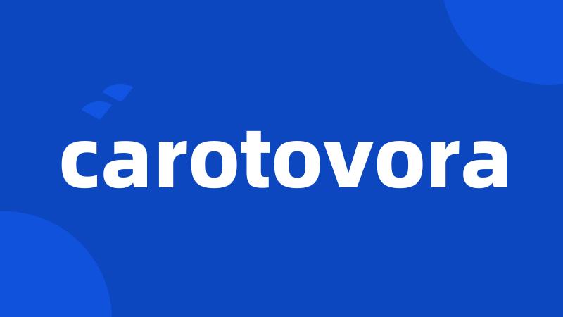 carotovora