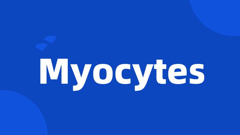 Myocytes