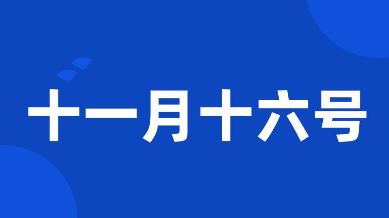 十一月十六号