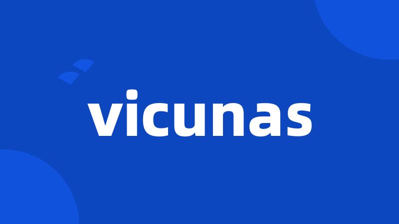 vicunas