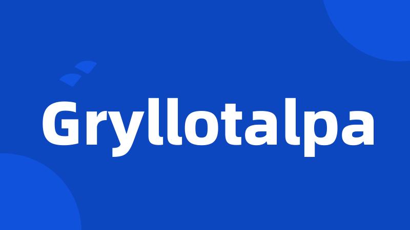 Gryllotalpa