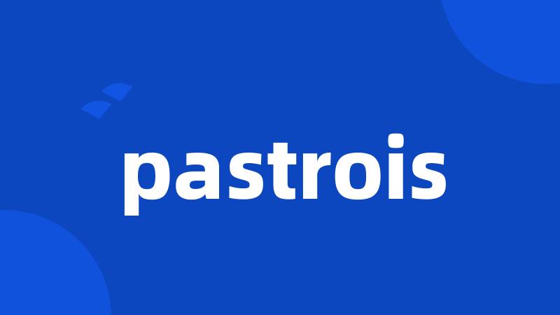 pastrois