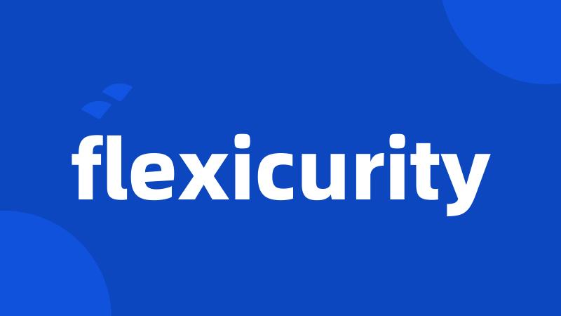 flexicurity