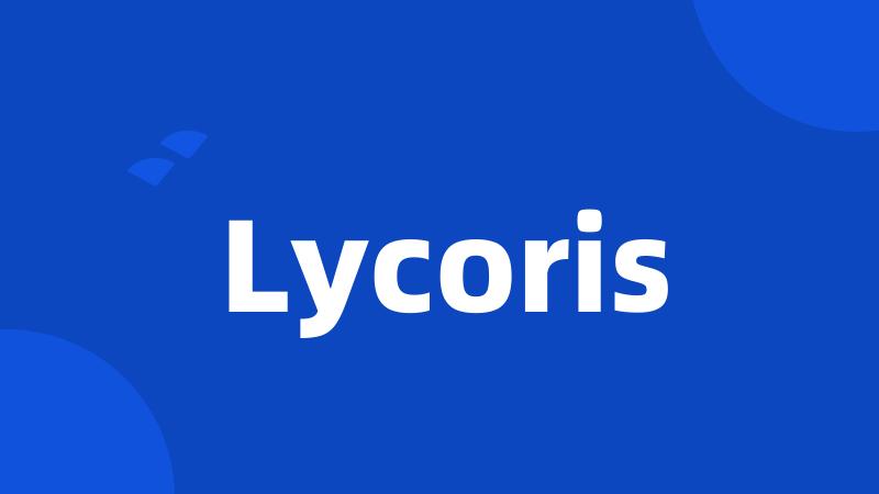 Lycoris