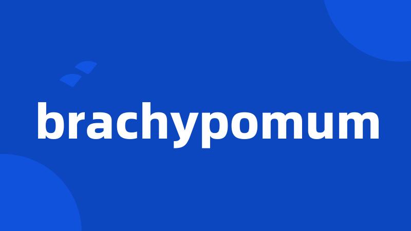 brachypomum