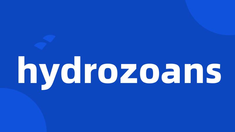 hydrozoans