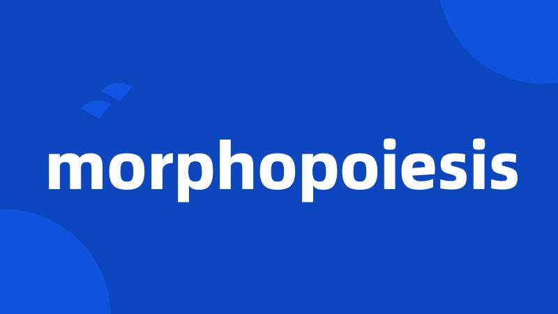 morphopoiesis