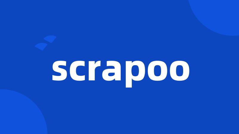 scrapoo