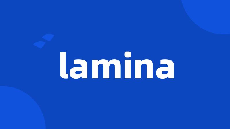 lamina