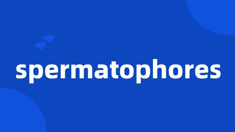 spermatophores