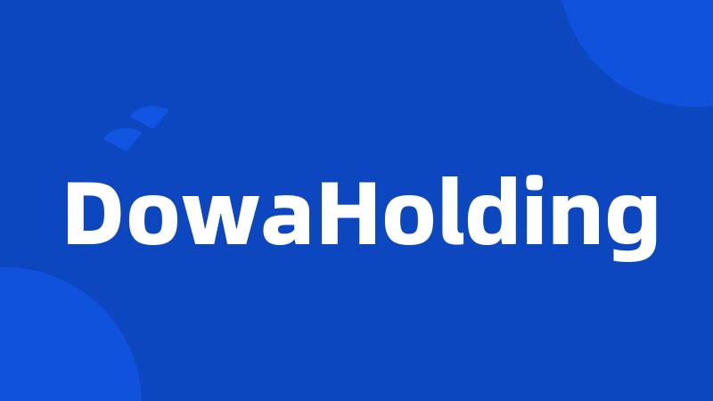 DowaHolding