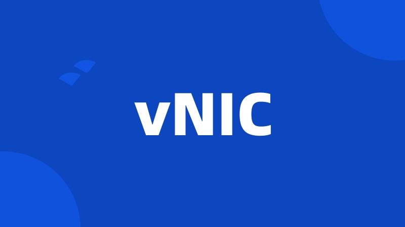 vNIC