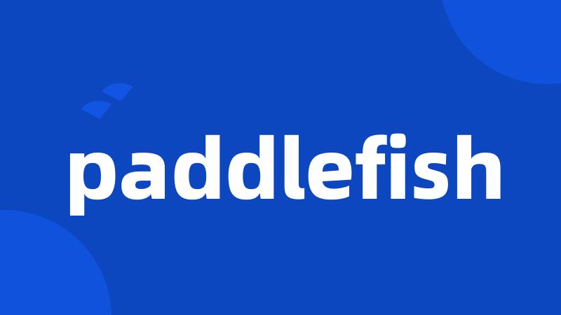 paddlefish