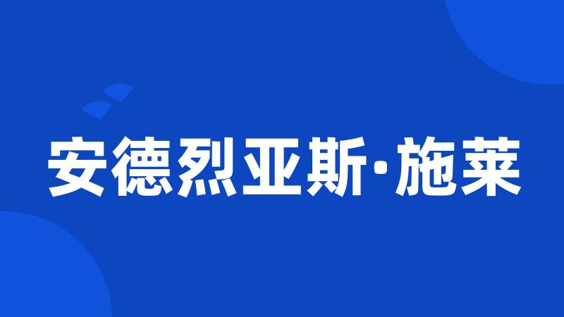 安德烈亚斯·施莱