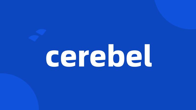 cerebel