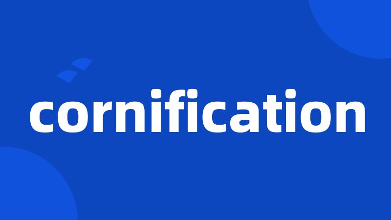 cornification