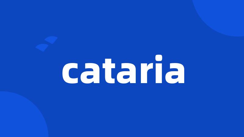 cataria