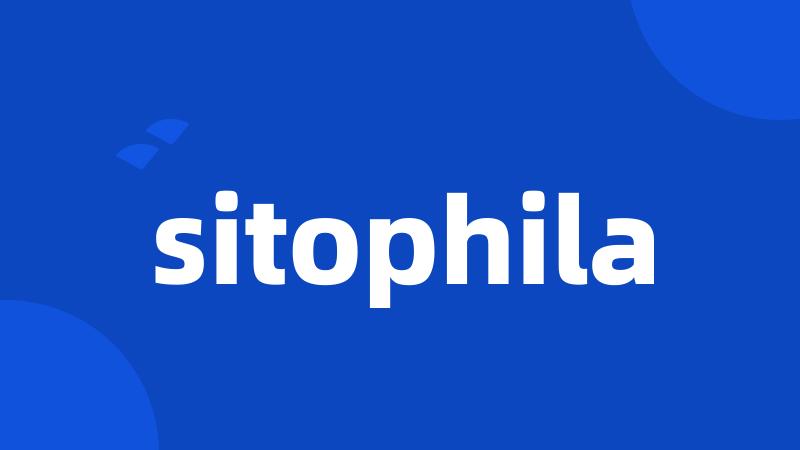 sitophila