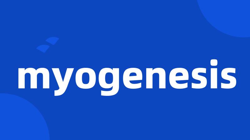 myogenesis