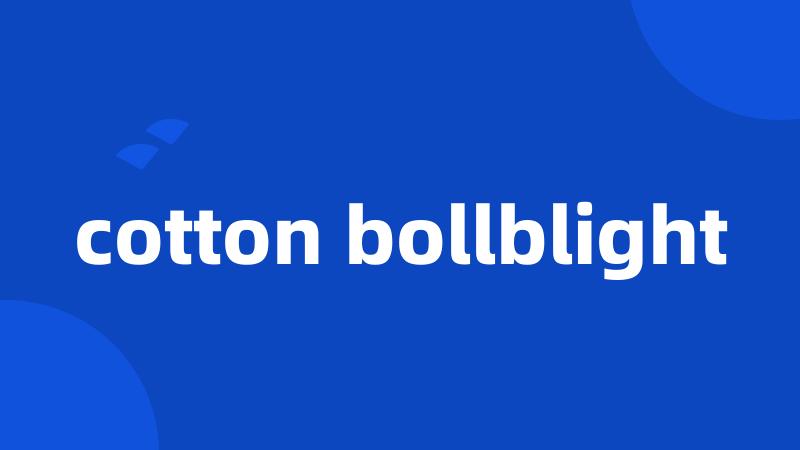 cotton bollblight