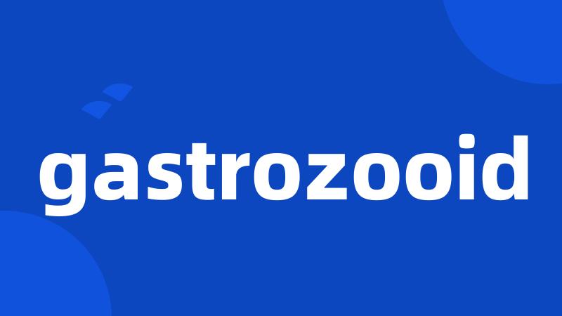 gastrozooid