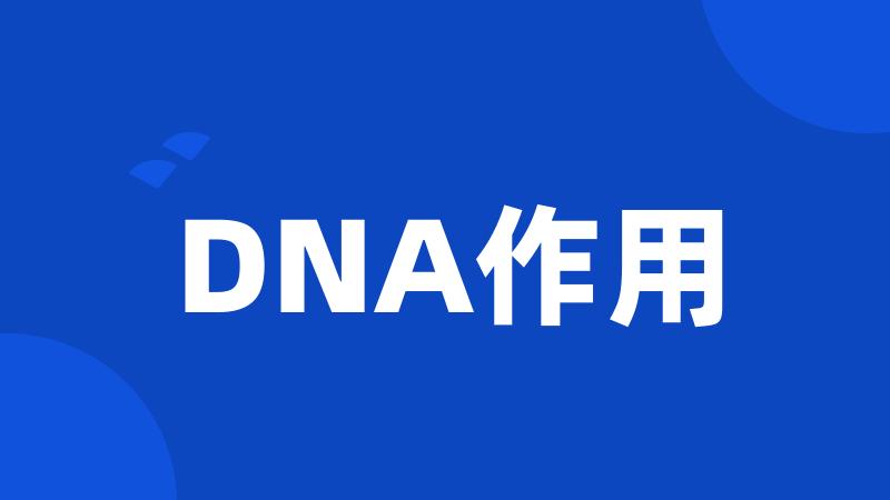 DNA作用