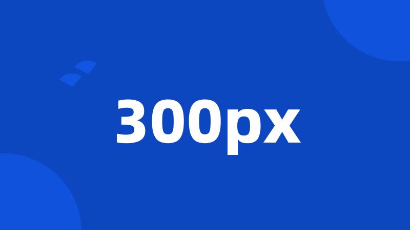 300px