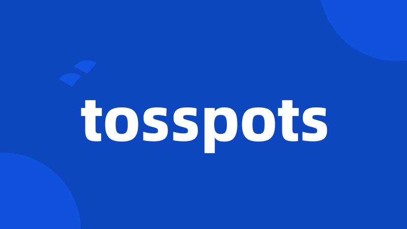 tosspots