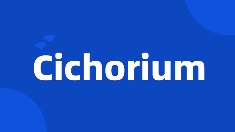 Cichorium