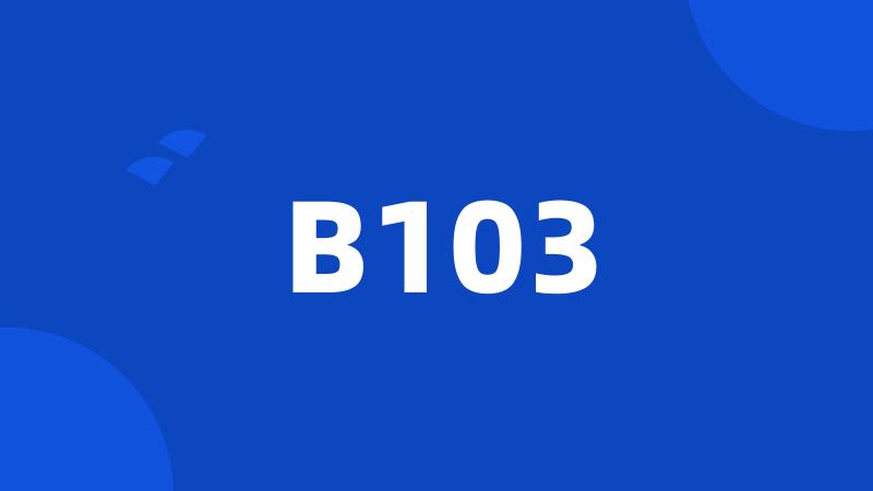 B103