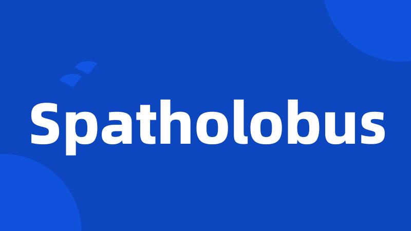 Spatholobus