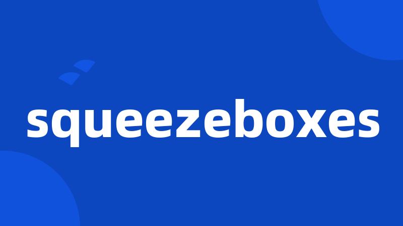 squeezeboxes