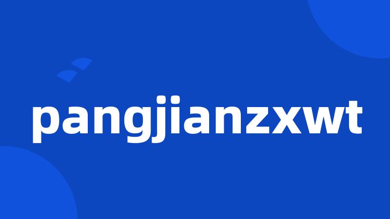 pangjianzxwt