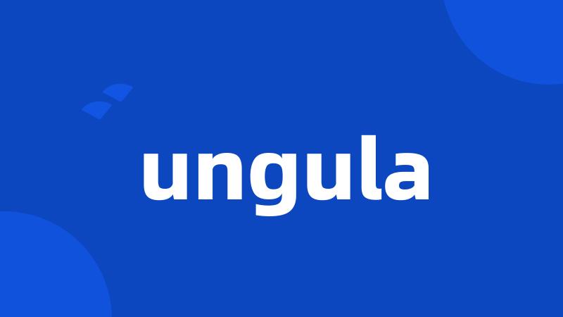 ungula