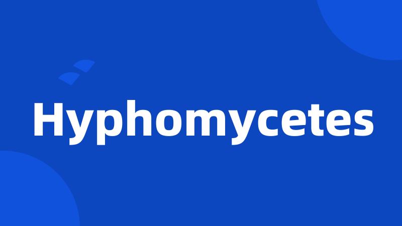 Hyphomycetes