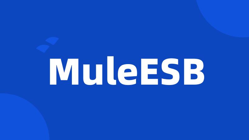 MuleESB