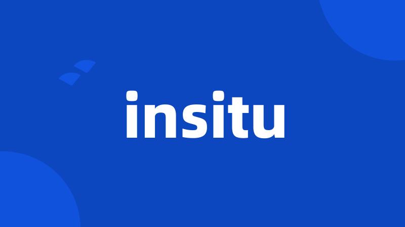 insitu