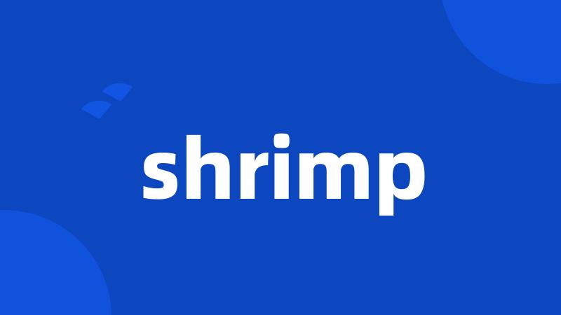 shrimp